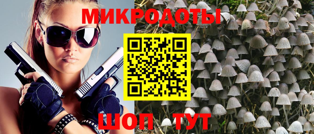 Добрянка  Псилоцибиновые грибы Cubensis  Вход с VPN 