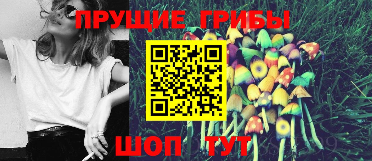Галлюциногенные грибы прущие грибы Добрянка
